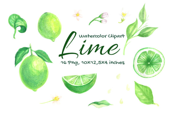 Lime Watercolor Fruit Slice Citrus Decorative Elements