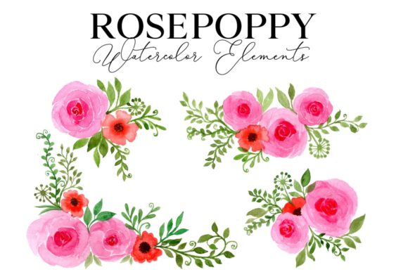 Rose Poppy Watercolor Elements for Web